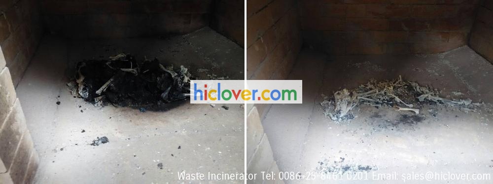 pet incineration equipment
